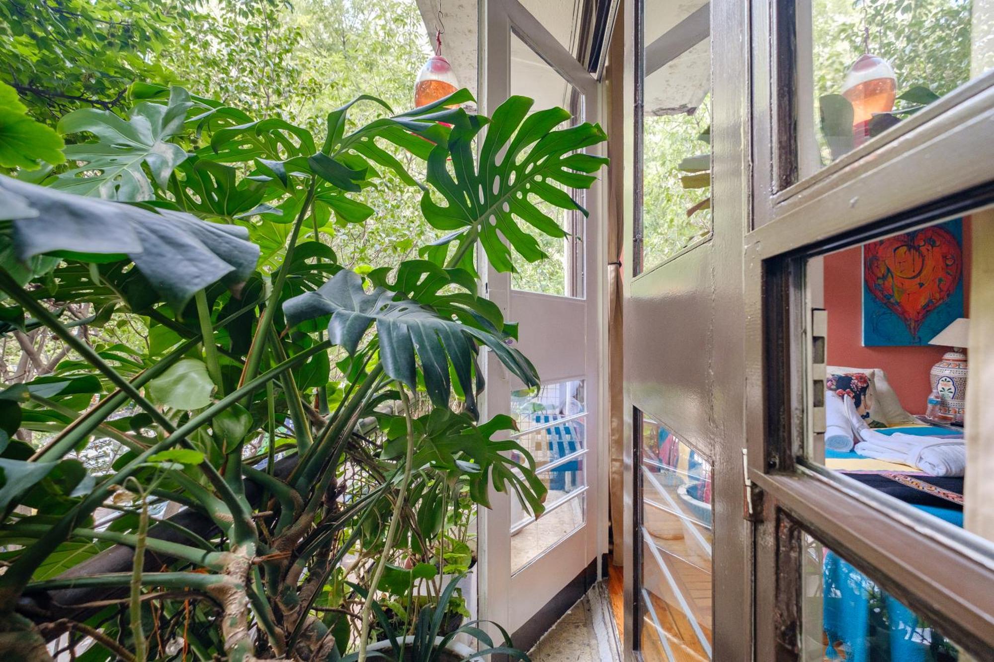 Casa Itzae B&B Polanquito Dog Friendly เม็กซิโกซิตี้ ภายนอก รูปภาพ